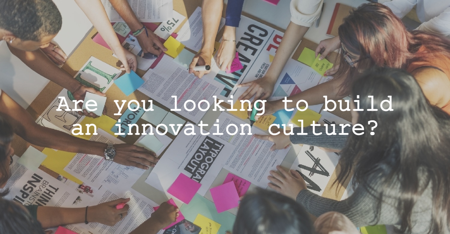 innovation culture