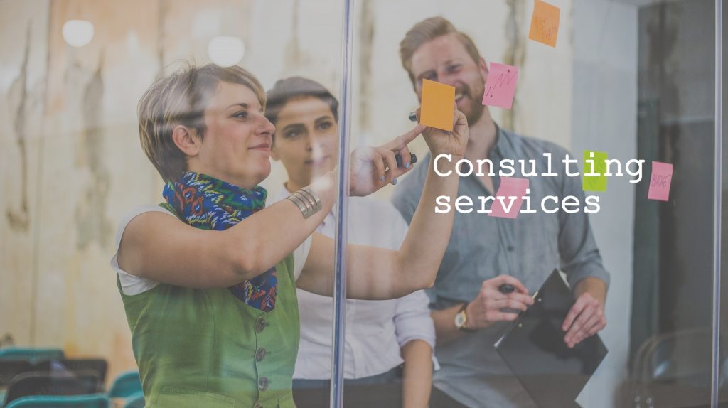 consulting services