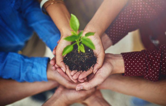 High angle shot of a group of businesspeople holding a plant growing in soil